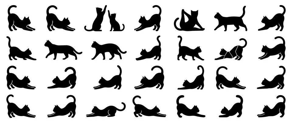 Extensive set of stretching and active cat silhouettes with silhouette, mov.. Stock Illustration