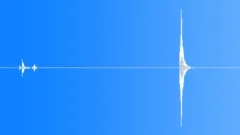 Exterior 1 Door OpenedSound Effect