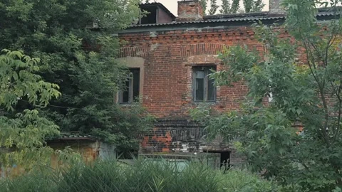Exterior of an abandoned brick building partially obscured by plants and trees 库存影片 344675946