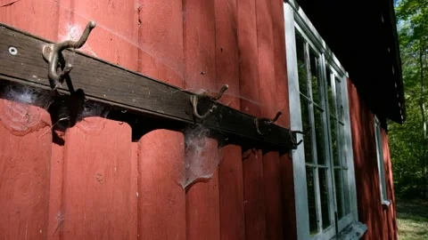 Exterior Cobwebs 4K Stock Footage 160944761