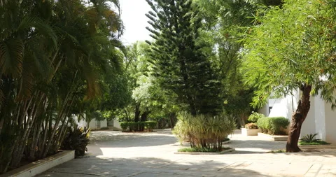 Exterior of the Collage Building Vídeos de archivo 244271752