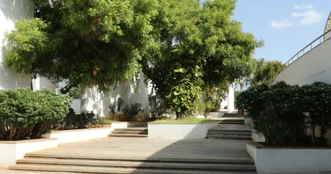 Exterior of the Collage Building Vídeos de archivo 244271825