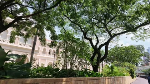 The exterior of a Colonial-style building Vidéo 341661883