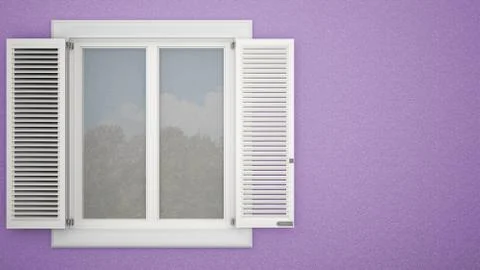 Exterior plaster wall with white window with shutters, garden reflections, pa Ilustración de archivo