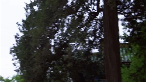 Exterior of Shaolin temple Stock Footage 89813220