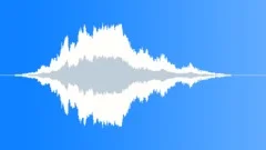 Exterior Two Passing Overhead Sound Effect