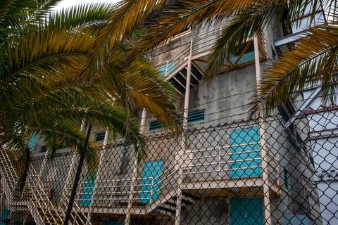 Exterior view of a factory y and palm trees Stock Photos