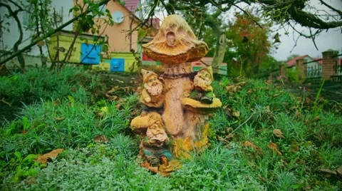 Exterior the yard Video stock 60601581