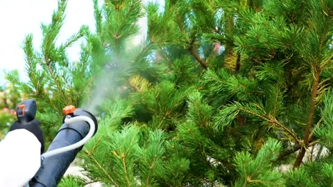 Exterminator processing a tree in slowmotion Video stock 147499534