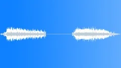 Exterminator - Two Bursts Sound Effect
