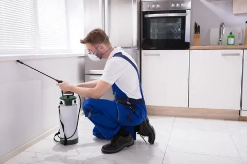 Exterminator Worker Spraying Insecticide Chemical Stock Photos