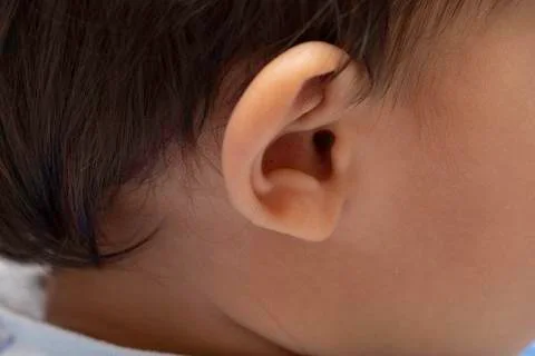 External ear on young dark haired person, healthy auricle skin close up Fotos de archivo