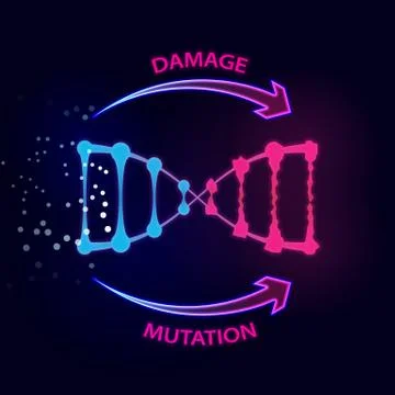 External factors that cause dna damage and mutations Stock Illustration