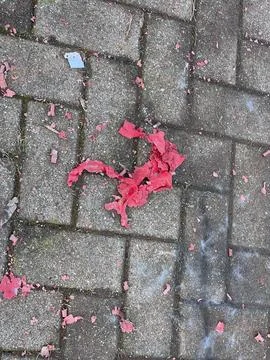 External floor with self-blocking with waste Stock Photos