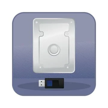 External Hard Disk And Usb Flash Drive イラスト素材