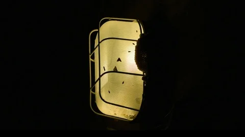 External lamp full of insects at night tripod fixed shoot Stock Footage 83608287