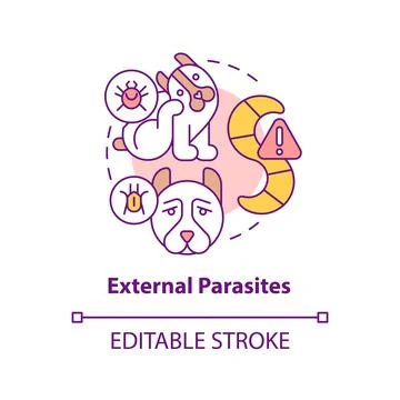 External parasites concept icon Stock-Illustration