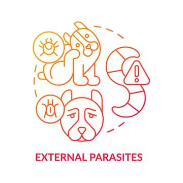 External parasites red gradient concept icon Stock-Illustration