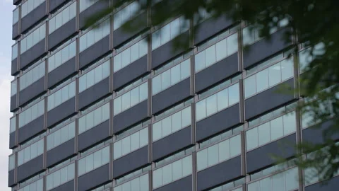External shot of office windows on a building framed by leaves from a tree Stock Footage 252018670