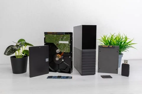 External storage drive, open hard disk, SSD and memory modules arranged on .. Stock Photos