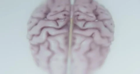 External view of the human head Stock Footage 313623607