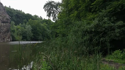 Externsteine Rock Framed By Riverside Reeds 스톡 동영상 339367683