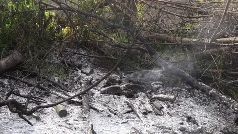 Extinct and smoldering fire in the yard Video stock 75963036