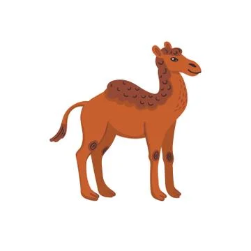Extinct animals. Camelops, western camel. Prehistoric extinct american one Stock Illustration