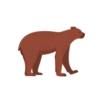 Extinct animals. Short-faced bear. Prehistoric extinct american bear. Flat style Stock Illustration