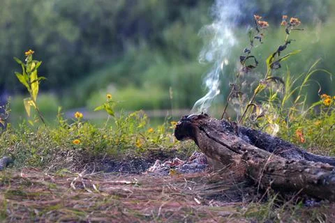 An extinct bonfire in the camp by the lake. Light smoke from coals and an Stock-Fotos