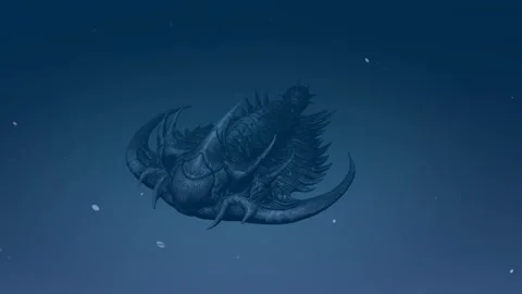 Extinct Trilobites Stock Footage 291402811