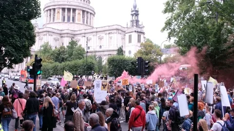 Extinction Rebellion Animal Rights protest marches past St Paul's Cathedral Stock Footage