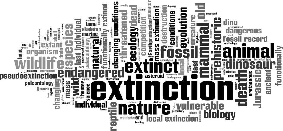 Extinction word cloud Stock Illustration