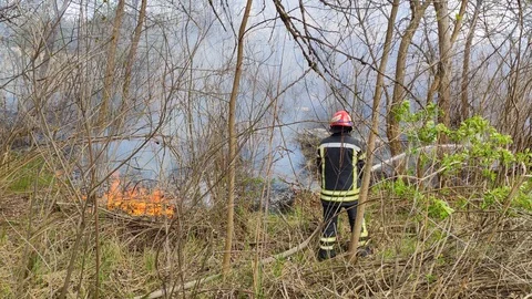 Extinguish a fire 스톡 동영상 129001558