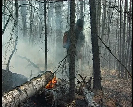 Extinguish the fire in the woods Video stock 1013099