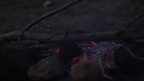 Extinguished Campfire in the Evening Stock Footage 321430099