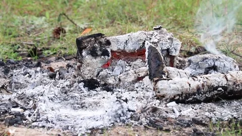 Extinguished fire close-up, shows the problem of forest fires Stock Footage 166146115