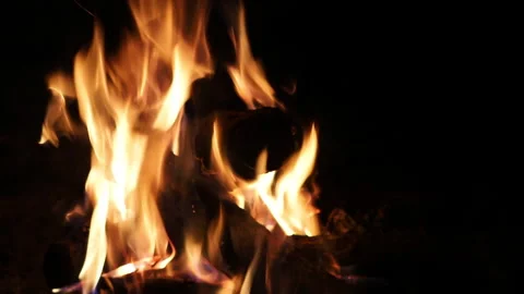 Extinguished fire close-up, shows the problem of forest fires Video stock 167646612