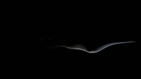 Extinguished Match Smoke Video stock 151420763