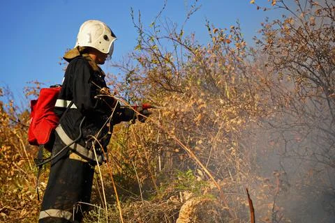 Extinguishing burning grass and shrubs in mountainous 스톡 사진