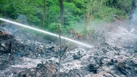 Extinguishing a fire in a forest Stock Footage 76240511