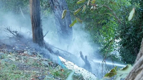 Extinguishing forest fire. smoke and water spray close-up. 4к, copy space Stock Footage 81002913