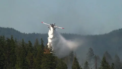 Extinguishing forest fires by plane Video stock 274415350