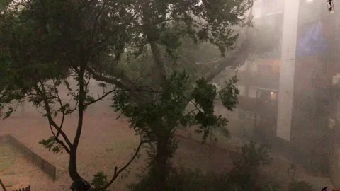 ExtintorsPowerful Downburst Storm With Trees Bending Under Extreme Wind Stock Footage 334621265