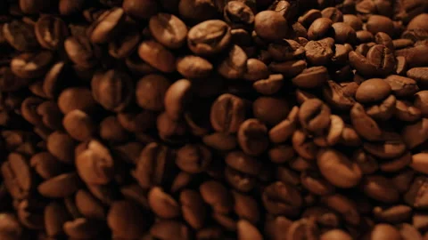 Extra close-up freshly roasted coffee beans mixing on a cooling plate of a Stock Footage 259631210