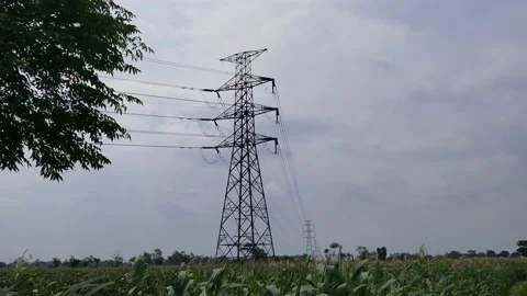 Extra High Voltage Tower among the fields Stock Footage 205463690