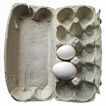 Extra large and extra small chicken eggs placed in eco friendly biodegradab.. Foto stock