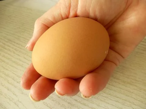 Extra large chicken egg Foto stock
