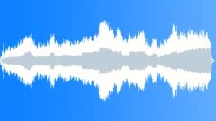 Extra RexStock Music