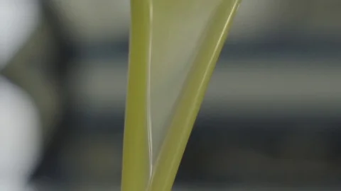 Extra virgin olive oil Stock Footage 83170495